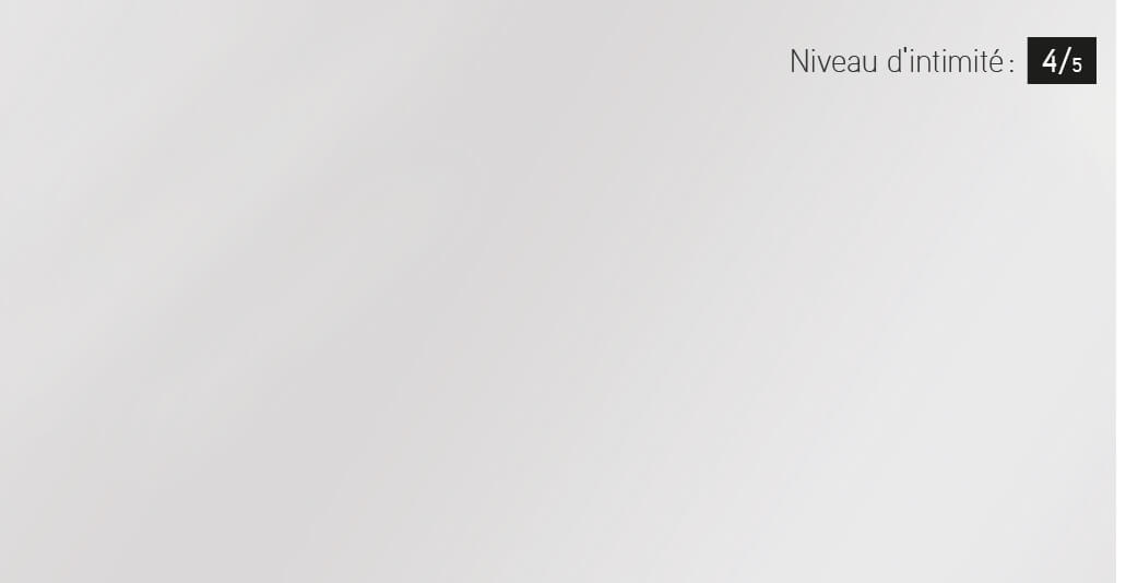 Le verre Sablé blanc Garaga et Novatech ajoute une touche pratique à vos fenêtres de porte de garage et d'entrée